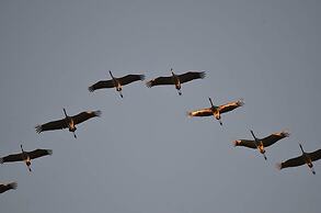 Feriendomizil am Hafen GbR