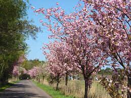 Feriendomizil am Hafen GbR