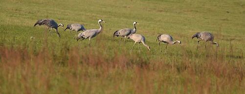 Feriendomizil am Hafen GbR