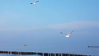 Feriendomizil am Hafen GbR