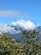 Hotel Green Mountain Turrialba