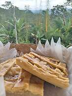 Hotel Green Mountain Turrialba