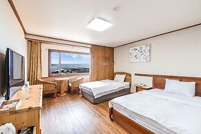 Fantastic Ocean View Sydney Hotel