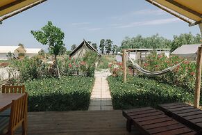 Sails on Kos Ecolux Tented Village