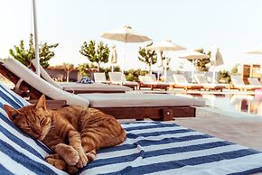 Sails on Kos Ecolux Tented Village