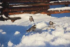 Red Cariboo Apartments