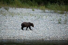 Red Cariboo Apartments