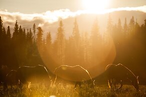 Red Cariboo Apartments