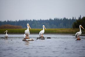 Red Cariboo Apartments