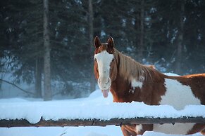 Red Cariboo Apartments