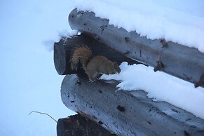 Red Cariboo Apartments