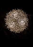 The White Hart Hotel