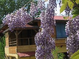 B&B Casa Mica Guesthouse