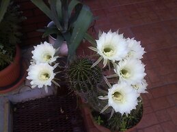 B&B Casa Mica Guesthouse