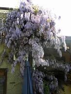 B&B Casa Mica Guesthouse