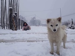 Golden Roots Resorts & Spa