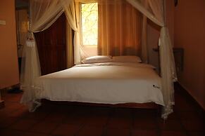 Saltek Forest cottages