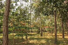 Saltek Forest cottages