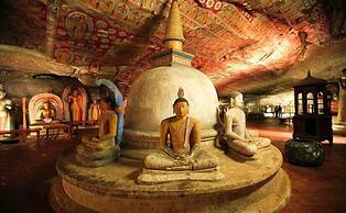 Sigiri Hibiscus Villa