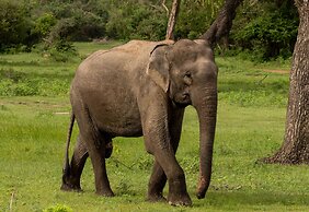 Naturehawks Safari Villa Yala