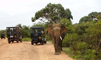 Naturehawks Safari Villa Yala