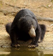 Naturehawks Safari Villa Yala