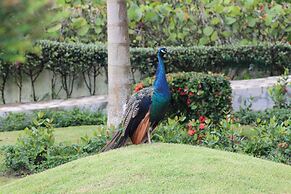 Rancho Turístico Doña Callita