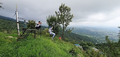 Quartz Himalayan Brothers