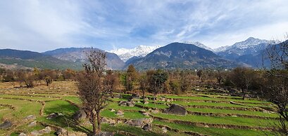 Quartz Himalayan Brothers