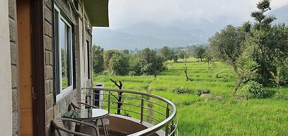 Quartz Himalayan Brothers