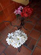 Aloha Hostel Cabo Frio