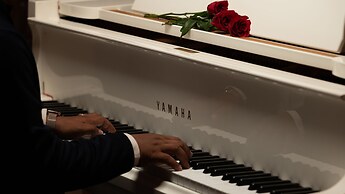 Mane Colonial Classic