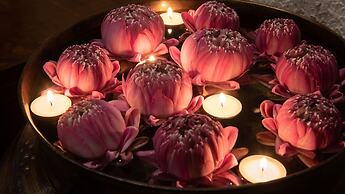 Mane Colonial Classic