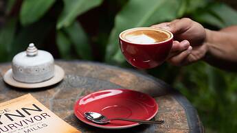 Mane Colonial Classic