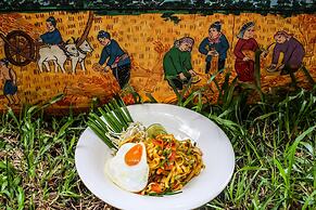 Mane Colonial Classic