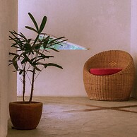 El Nido Moringa Resort