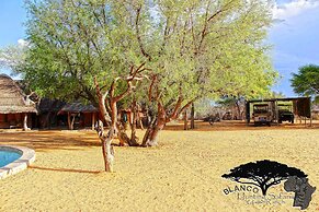 Blanco Hunting Safaris Game Ranch