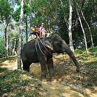 Phoenix Hotel Karon Beach