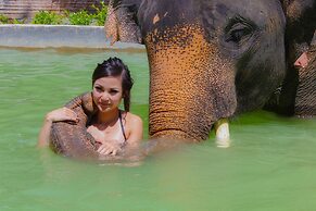 Phoenix Hotel Karon Beach