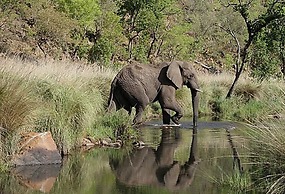 Inzalo Safari Lodge