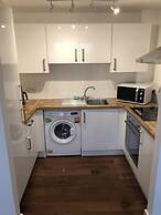 Ice House Apartments