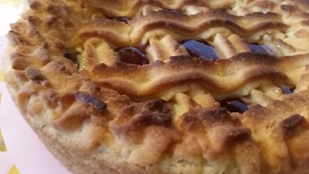 L'Officina di Apollo