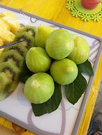 L'Officina di Apollo