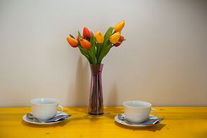 L'Officina di Apollo