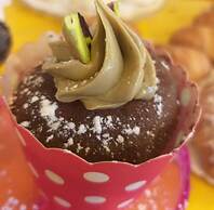 L'Officina di Apollo