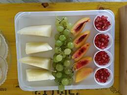 L'Officina di Apollo