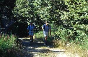 Grasmere High Country Bed & Breakfast Lodge