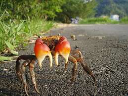 Guesthouse SORA - Hostel