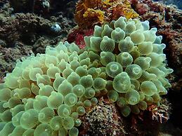 Guesthouse SORA - Hostel