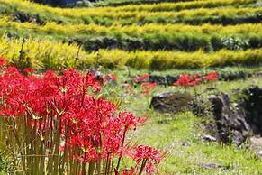 Guesthouse SORA - Hostel